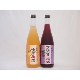 果物梅酒セット ブルーベリー梅酒×ゆず梅酒 中野BC(和歌山県)720ml×2本