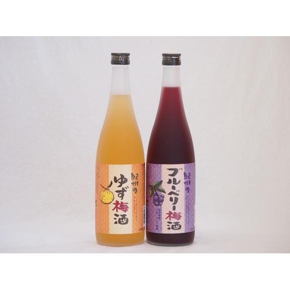 果物梅酒セット ブルーベリー梅酒×ゆず梅酒 中野BC(和歌山県)720ml×2本01