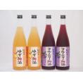 果物梅酒セット ブルーベリー梅酒×ゆず梅酒 中野BC(和歌山県)720ml×4本