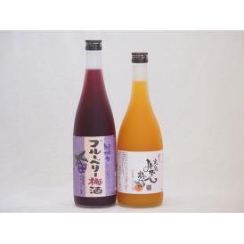 果物梅酒セット ブルーベリー梅酒×完熟みかん梅酒 中野BC(和歌山県)720ml×2本