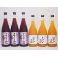 果物梅酒セット ブルーベリー梅酒×完熟みかん梅酒 中野BC(和歌山県)720ml×6本