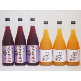 果物梅酒セット ブルーベリー梅酒×完熟みかん梅酒 中野BC(和歌山県)720ml×6本