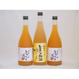 果物梅酒セット レモン梅酒×完熟みかん梅酒 中野BC(和歌山県)720ml×3本