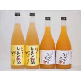 果物梅酒セット レモン梅酒×完熟みかん梅酒 中野BC(和歌山県)720ml×4本