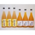 果物梅酒セット レモン梅酒×完熟みかん梅酒 中野BC(和歌山県)720ml×6本