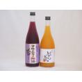 果物梅酒セット ブルーベリー梅酒×完熟みかん梅酒 中野BC(和歌山県)720ml×2本