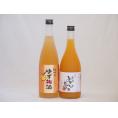 果物梅酒セット ゆず梅酒×完熟みかん梅酒 中野BC(和歌山県)720ml×2本