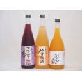 果物梅酒セット ブルーベリー梅酒×ゆず梅酒×完熟みかん梅酒 中野BC(和歌山県)720ml×3本