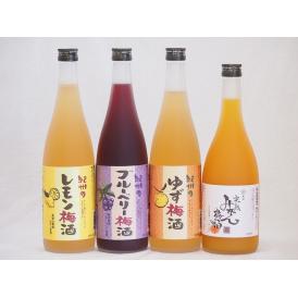 果物梅酒セット レモン梅酒×ブルーベリー梅酒×ゆず梅酒×完熟みかん梅酒 中野BC(和歌山県)720ml×4本