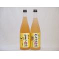 果物梅酒セット レモン×パイナップル 中野BC(和歌山県)720ml×2本