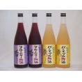 果物梅酒セット パイナップル×ブルーベリー 中野BC(和歌山県)720ml×4本