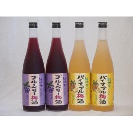 果物梅酒セット パイナップル×ブルーベリー 中野BC(和歌山県)720ml×4本