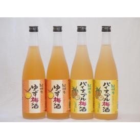 果物梅酒セット パイナップル×ゆず 中野BC(和歌山県)720ml×4本