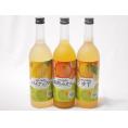 果物梅酒セット パイナップル×ゆず×みかん　中野BC(和歌山県)720ml×3本