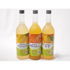 果物梅酒セット パイナップル×ゆず×みかん　中野BC(和歌山県)720ml×3本