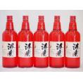 黒麹造り 海童 祝い赤 本格芋焼酎 濱田酒造(鹿児島県)720ml×5本