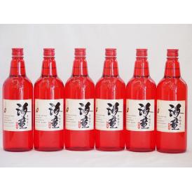 黒麹造り 海童 祝い赤 本格芋焼酎 濱田酒造(鹿児島県)720ml×6本