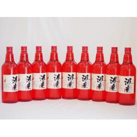 黒麹造り 海童 祝い赤 本格芋焼酎 濱田酒造(鹿児島県)720ml×9本