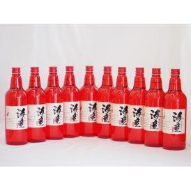 黒麹造り 海童 祝い赤 本格芋焼酎 濱田酒造(鹿児島県)720ml×10本