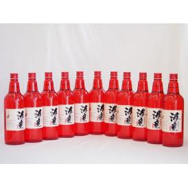 黒麹造り 海童 祝い赤 本格芋焼酎 濱田酒造(鹿児島県)720ml×11本