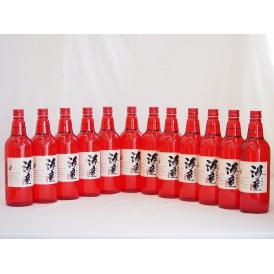 黒麹造り 海童 祝い赤 本格芋焼酎 濱田酒造(鹿児島県)720ml×12本