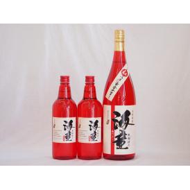 祝い赤セット 黒麹造り 海童 本格芋焼酎 濱田酒造(鹿児島県)720ml×2本 1800ml