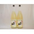 レモンチュウハイの素 富士白 25度 中野BC(和歌山県)1800ml×2本