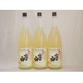 レモンチュウハイの素 富士白 25度 中野BC(和歌山県)1800ml×3本