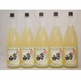 レモンチュウハイの素 富士白 25度 中野BC(和歌山県)1800ml×5本