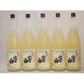 レモンチュウハイの素 富士白 25度 中野BC(和歌山県)1800ml×5本