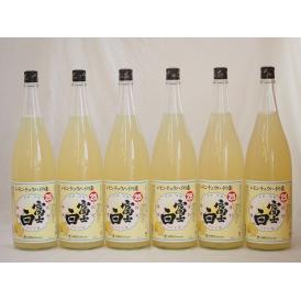 レモンチュウハイの素 富士白 25度 中野BC(和歌山県)1800ml×6本