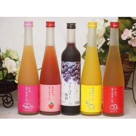 果物梅酒リキュールセット(ゆず梅酒 もも梅酒 あまおう梅酒 りんご梅酒 ブルーベリー梅酒)500ml×5本