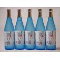 徳之島の奄美黒糖焼酎 碧い海 糖質0.00% 弥生焼酎(鹿児島県)720ml×5本