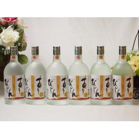純米焼酎 阿蘇山地下水 阿蘇美人(あそびじん)(熊本県)瑞鷹 720ml×6本