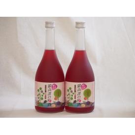赤しそ風味しそ香る鍛高譚の梅酒(千葉県)720ml×2本