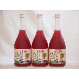 赤しそ風味しそ香る鍛高譚の梅酒(千葉県)720ml×3本