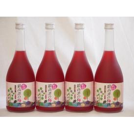 赤しそ風味しそ香る鍛高譚の梅酒(千葉県)720ml×4本