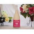 濃厚とろーり仕立て ヨーグルト梅酒 杉能舎 浜地酒造(福岡県)720ml×1本