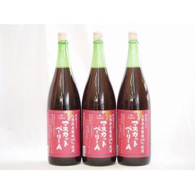 山梨県産葡萄100%使用 マスカットベリーA ライトボディ 赤ワイン 1800ml×3本