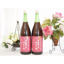 山梨県産葡萄100%使用 マスカットベリーA ライトボディ 赤ワイン 1800ml×2本