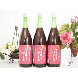 山梨県産葡萄100%使用 マスカットベリーA ライトボディ 赤ワイン 1800ml×3本