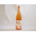 熟成梅酒 高千穂産梅使用 高千穂酒造(宮崎県)720ml×1本