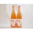 熟成梅酒 高千穂産梅使用 高千穂酒造(宮崎県)720ml×2本