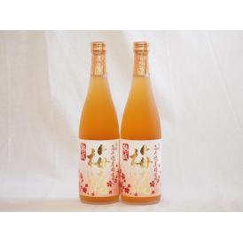 熟成梅酒 高千穂産梅使用 高千穂酒造(宮崎県)720ml×2本