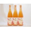 熟成梅酒 高千穂産梅使用 高千穂酒造(宮崎県)720ml×3本