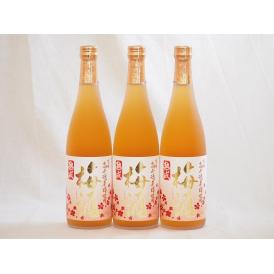 熟成梅酒 高千穂産梅使用 高千穂酒造(宮崎県)720ml×3本