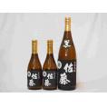 プレミアムな贈り物セット 本格芋焼酎 佐藤黒 1800ml×1 720ml×2