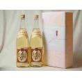 プレミアムな贈り物セット 熟成麦焼酎 夢のひととき 1800ml×2