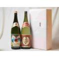 プレミアムな贈り物セット 本格芋焼酎 伊佐美 夢のひととき 1800ml×2