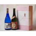 プレミアムな贈り物セット 本格芋焼酎 夢のひととき 王道楽土 720ml×2